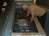 Baptism Orazio