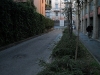 our walk to via Marco Polo